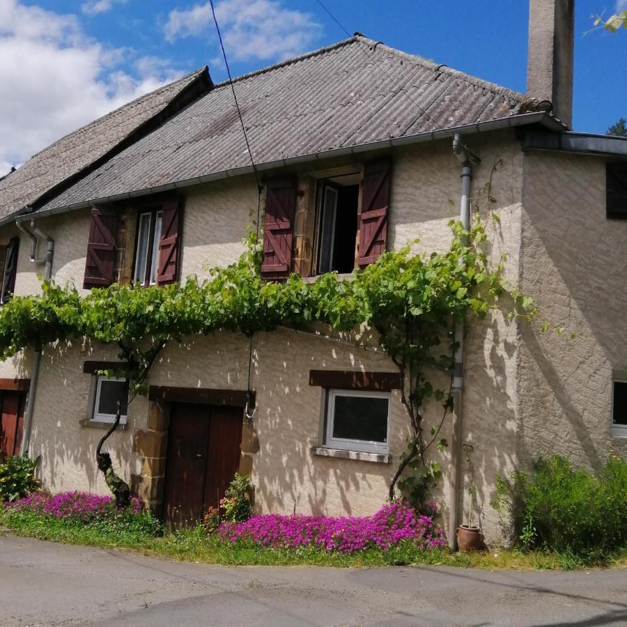 Maison Familiale Coteaux De La Vezere Voutezac Luaran gambar